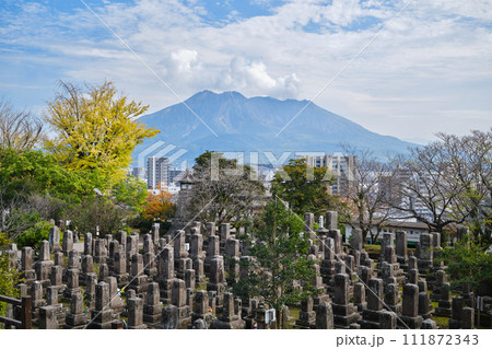 南州墓地と桜島の風景 南州墓地と桜島の風景 111872343