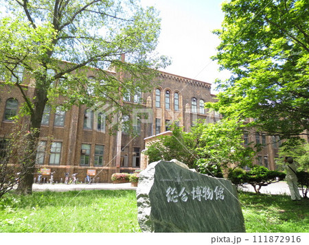 北海道大学総合博物館 111872916
