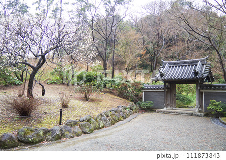 神奈川県横浜市中区本牧の三溪園の冬 神奈川県横浜市中区本牧の三溪園の冬 111873843