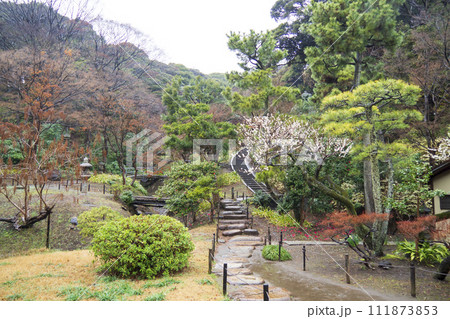 神奈川県横浜市中区本牧の三溪園の冬 111873853