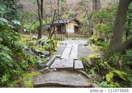 神奈川県横浜市中区本牧の三溪園の冬 111873868