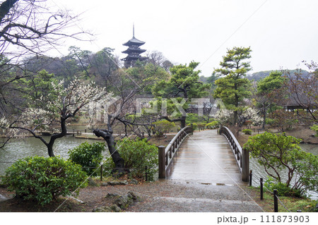 神奈川県横浜市中区本牧の三溪園の冬 111873903