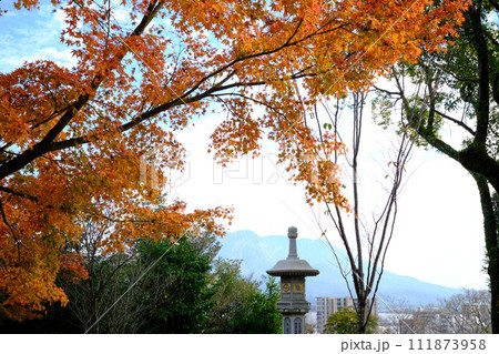 鹿児島の秋のイメージ風景 111873958