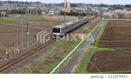 桜咲く中水戸線の列車　笠間駅 111874501