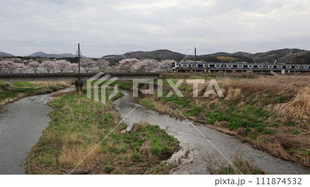 桜並木と鉄橋を渡る水戸線の列車　笠間市 111874532
