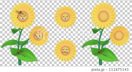 Lion face sunflower character angry and sad and standard sunflower set 111875143