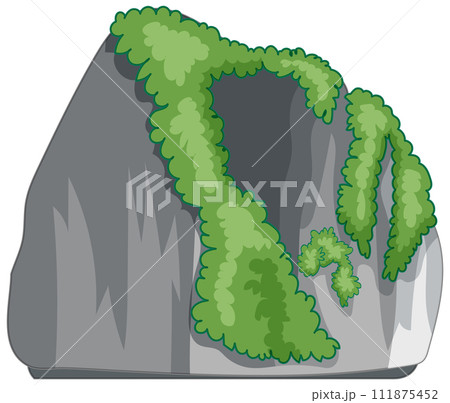 Verdant Foliage on Gray Stone Boulder 111875452