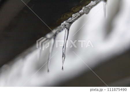 氷柱の巣にできた氷柱 氷柱の巣にできた氷柱 111875490