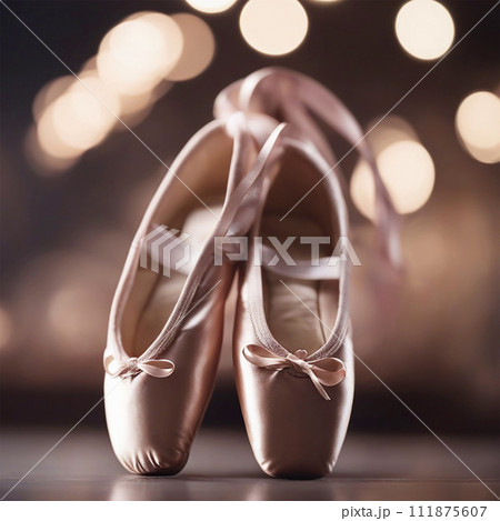 バレエシューズ　トゥシューズ 111875607