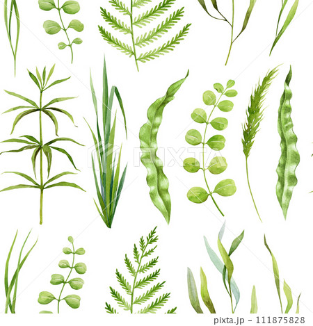 Green grass, fern leaves, plants, forest herbs seamless pattern. Watercolor illustration. Hand drawn forest nature decor. Fern, grass, leaves seamless pattern. Lush greenery decor. White background Green grass, fern leaves, plants, forest herbs seamless pattern. Watercolor illustration. Hand drawn forest nature decor. Fern, grass, leaves seamless pattern. Lush greenery decor. White background 111875828
