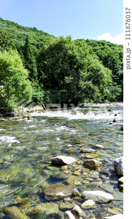 深い緑と青い空 111876037