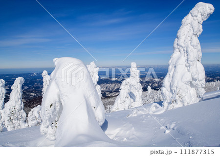 冬の森吉山　樹氷平の絶景　秋田県 111877315