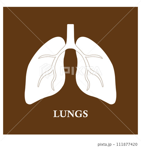 Lung icon 111877420