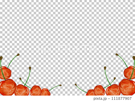 透明的新鮮櫻桃背景畫水彩 透明的新鮮櫻桃背景畫水彩 111877907