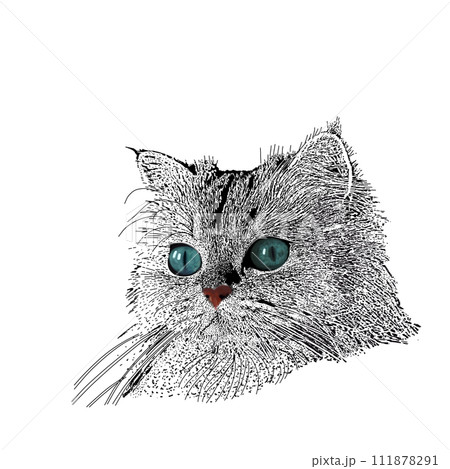 見上げる猫 cat 見上げる猫 cat 111878291