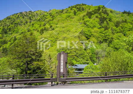 新緑が鮮やかな「白骨温泉」案内所周辺 新緑が鮮やかな「白骨温泉」案内所周辺 111878377