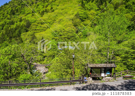 新緑が鮮やかな「白骨温泉」案内所周辺 111878383