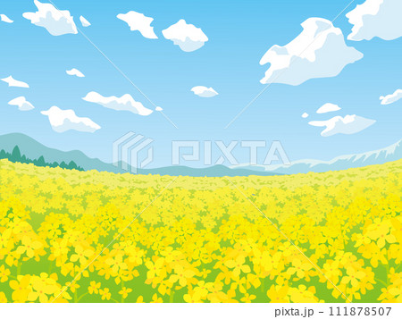 菜の花畑 菜の花畑 111878507