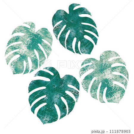 グランジ水彩のモンステラ グランジ水彩のモンステラ 111878903