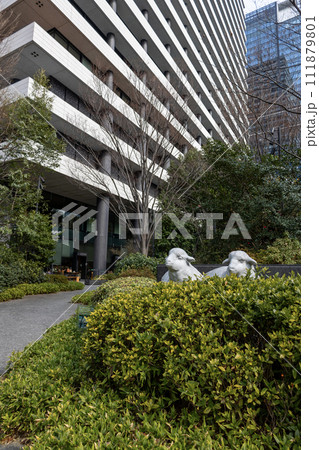 ダイビルの羊（2024年2月11日撮影） 111879801