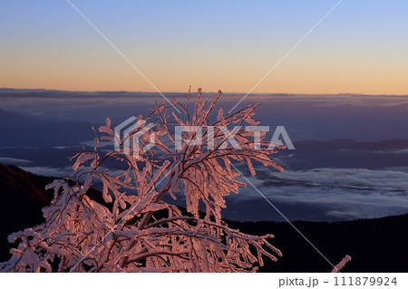 朝日に照らされる着雪した木の枝[長野県]燕岳, 燕山荘, 北アルプス, 雪山, 風景, 山, 朝,  111879924