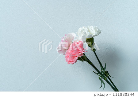 カーネーションの花束 母の日 カーネーションの花束 母の日 111880244