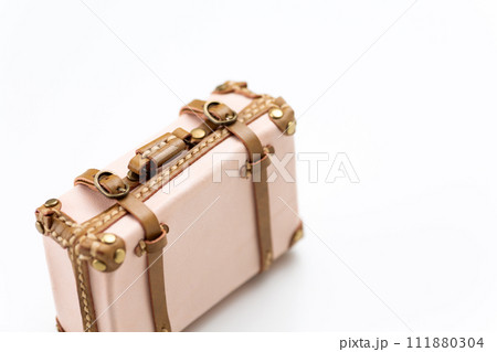 旅行鞄のトランクケース 旅行鞄のトランクケース 111880304