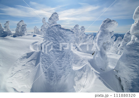 冬の森吉山　樹氷平の絶景　秋田県 111880320