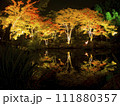 松島　円通院　逆さ紅葉 111880357