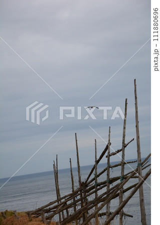 輪島の日本海に面した水田 輪島の日本海に面した水田 111880696