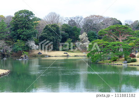 曇り空の六義園の景色 111881182