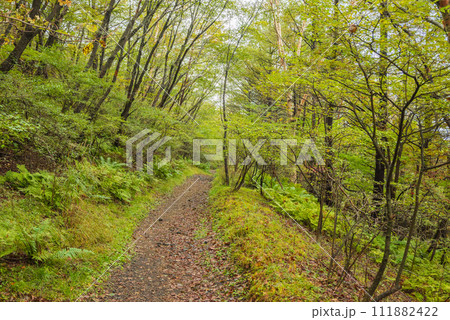 小浅間山・登山道【10月】 小浅間山・登山道【10月】 111882422