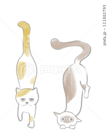 二匹のねこ 二匹のねこ 111882793