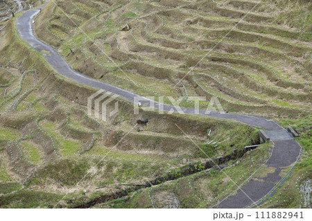 輪島千枚田の棚田 111882941
