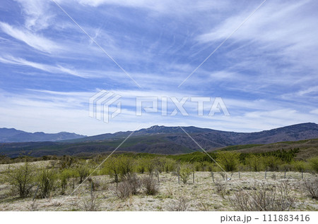 嬬恋村から望む春の四阿山/群馬県吾妻郡嬬恋村 嬬恋村から望む春の四阿山/群馬県吾妻郡嬬恋村 111883416