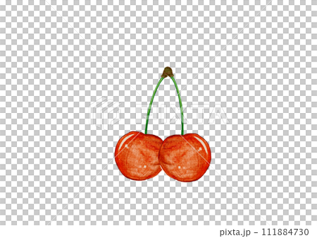 Twin transparent fresh cherries painted in watercolor 111884730