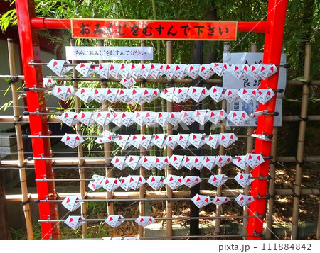 狐のおみくじ 狐のおみくじ 111884842