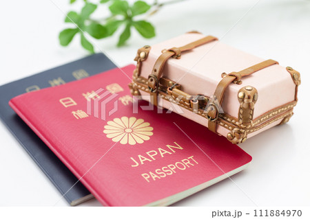 旅行鞄のトランクケースとパスポート 111884970
