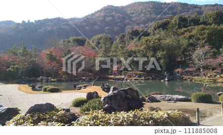 晩秋の天龍寺曹源池庭園 晩秋の天龍寺曹源池庭園 111885008