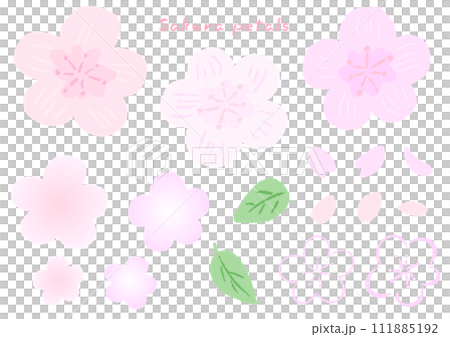 粉紅色的櫻花花瓣和葉子，可愛的手繪插畫集 111885192