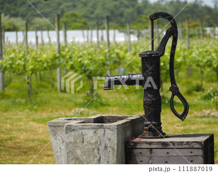レトロな井戸のポンプ	 111887019