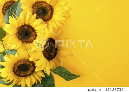 Yellow Sunflower Bouquet on bright Yellow Background. Ai generative Yellow Sunflower Bouquet on bright Yellow Background. Ai generative 111887394