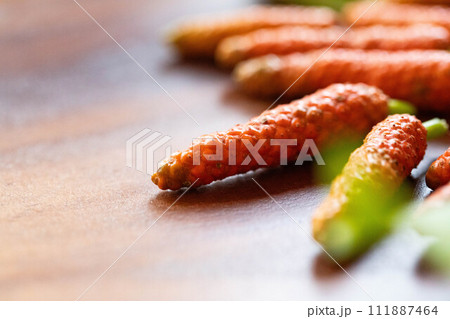 ヒハツの実 111887464