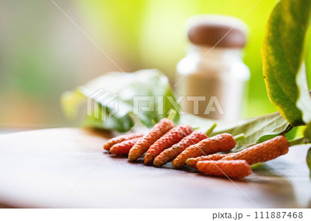 ヒハツの実 111887468