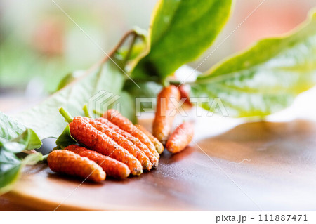 ヒハツの実 111887471