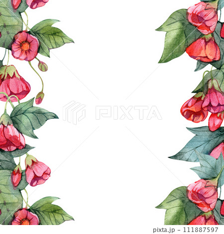 Watercolor frame abutilon flowers isolated on a white background, hand drawn illustration of houseplant in vintage style Watercolor frame abutilon flowers isolated on a white background, hand drawn illustration of houseplant in vintage style 111887597