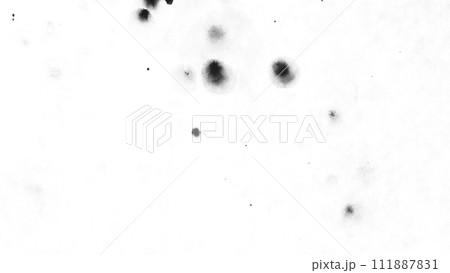 Macro Shot of Black Ink Drops Isolated on White Background Macro Shot of Black Ink Drops Isolated on White Background 111887831
