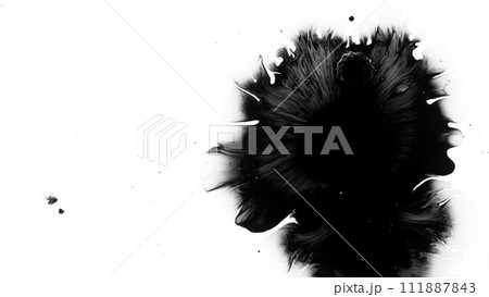 Macro Shot of Black Ink Drops Isolated on White Background 111887843