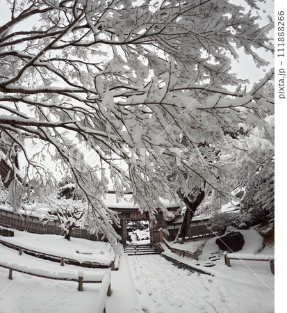 香林寺の雪景色 香林寺の雪景色 111888266