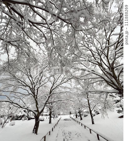 香林寺の雪景色 香林寺の雪景色 111888269